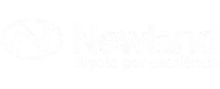 Newland