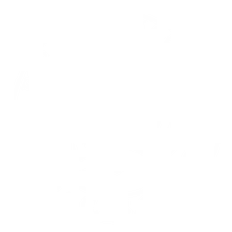 Council for Six Sigma Certification