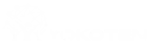 Yokoten